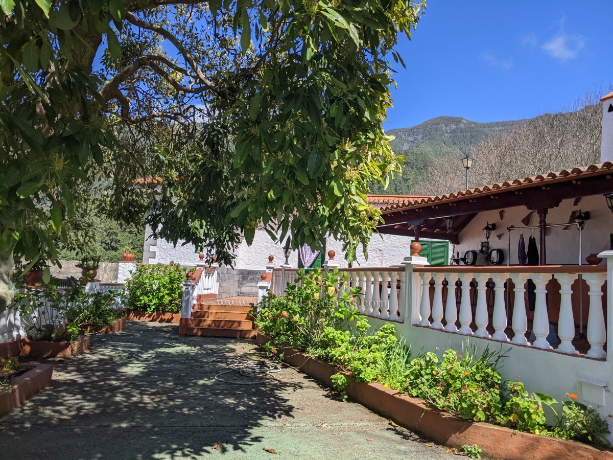  Preciosa Finca con casa y muchos árboles frutales. Precioso Porche con barbacoa y zona de ocio. 