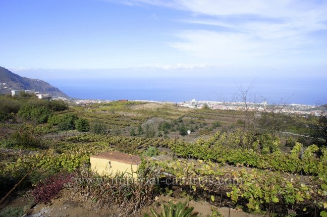  Finca in Los Realejos with house and views over La Orotava Valley 