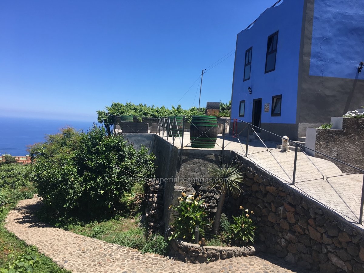  Erleben Sie Teneriffa mal ganz anders auf diese Finca 