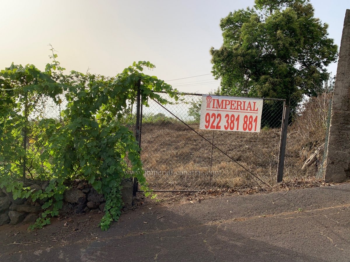  Finca mit 2000 Qm Land wobei 350 Qm Bauland ist in La Matanza 