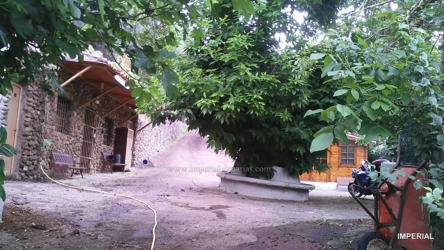  Schöne Finca eingebettet mit Obstbäumen, Wald, mit Grillplatz und Holzhütte für Gäste. 