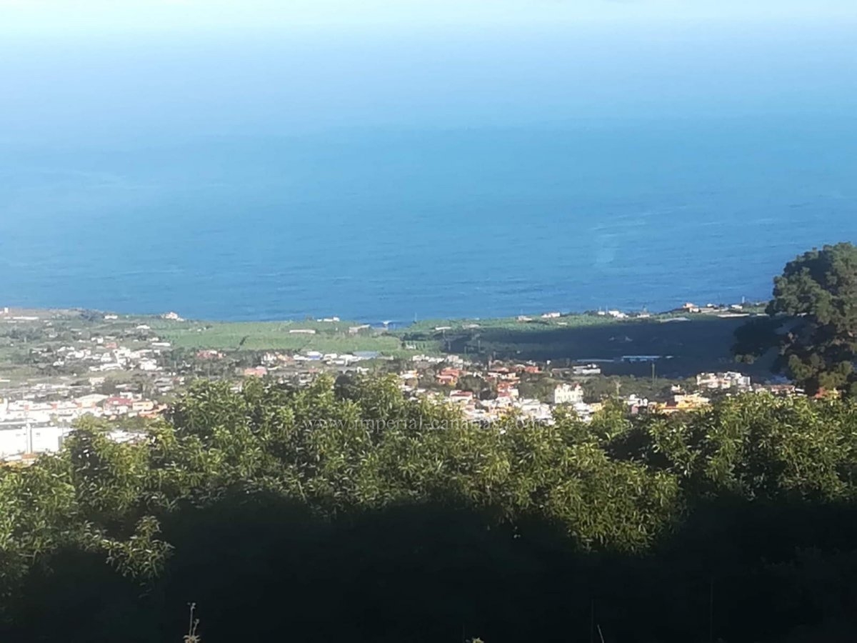  Beautiful finca with house and fruit trees in Los Frontones, only 8 km from Puerto de la Cruz. 