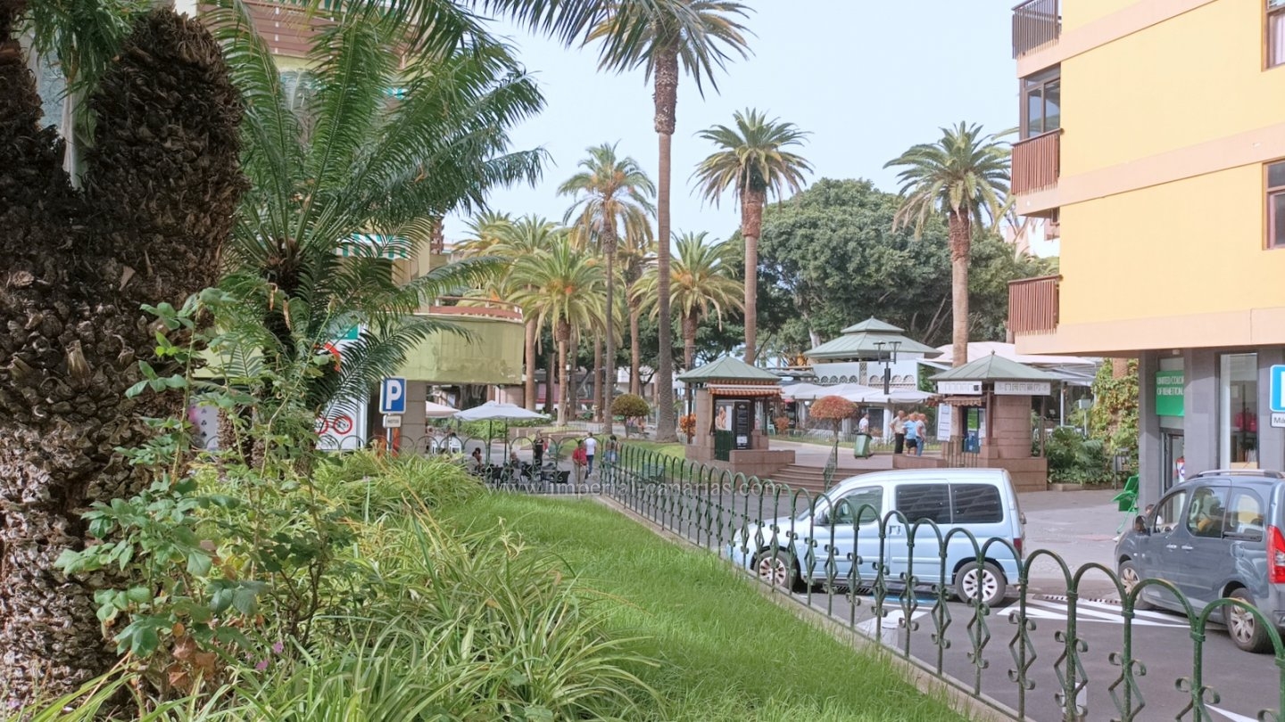 AES11283 -  Estudio en Plaza del Charco  -  Puerto de la Cruz 