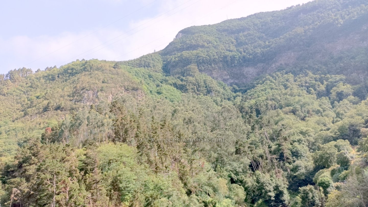  Land house with cultivation land for sale in Los Realejos, natural area. 