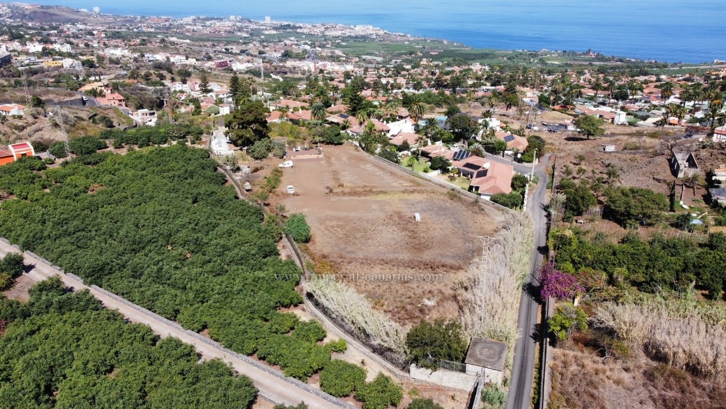  Offer, great finca with house in La Orotava 