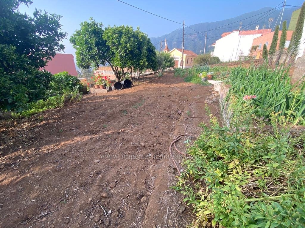  Enjoy this beautiful Finca with plantation of vegetables and fruit trees.  