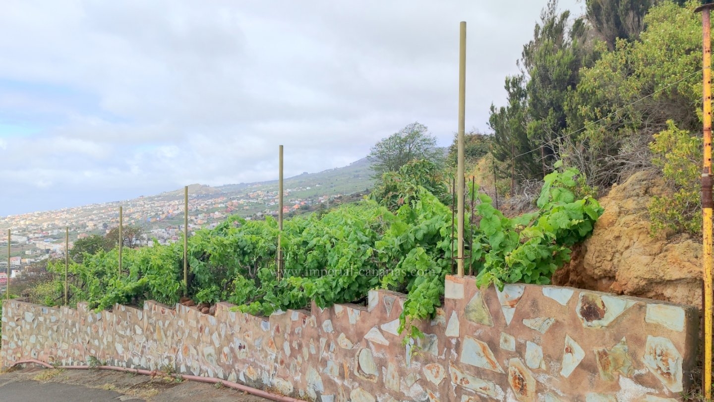  Rustic land for sale in Santa Úrusla very close to the main road. 