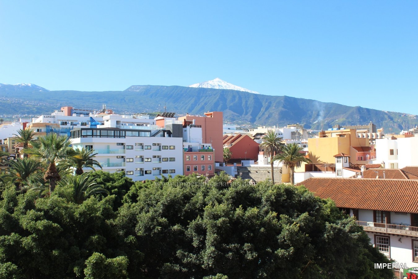  Live in this comfortable and completely renovated studio with beautiful views of Teide and Plaza de Charco. 