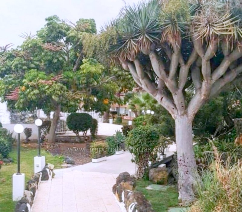  Geräumige Wohnung zu verkaufen in Puerto de La Cruz, San Fernando Bereich. Gelassenheit garantiert. 