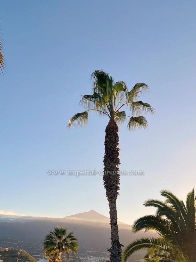  Schöne, voll ausgestattete Zweizimmerwohnung in ruhiger Lage in Puerto de La Cruz, langfristig zu vermieten.  