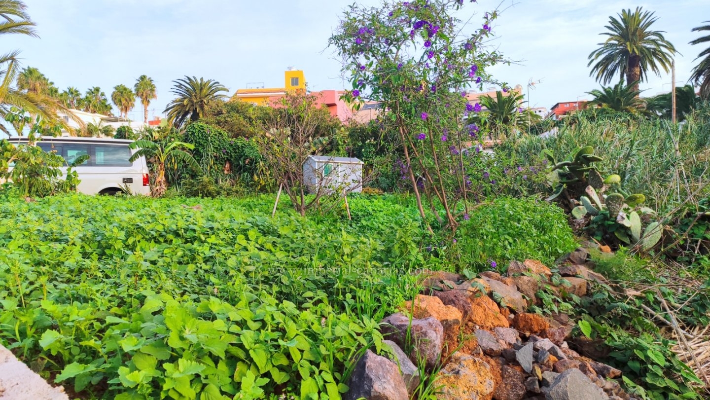  Se vende en el centro del Sauzal, preciosa casa terrera canaria, con patios y jardines en parcela de 718m2. 